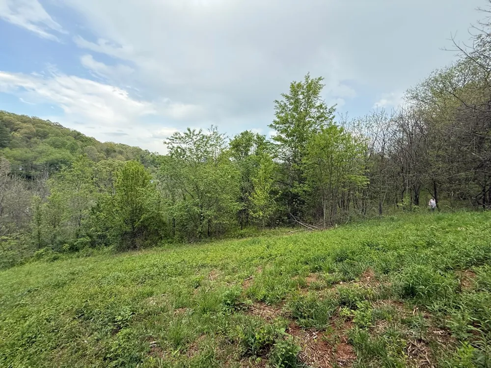 Northridge Drive Canton, NC 28716