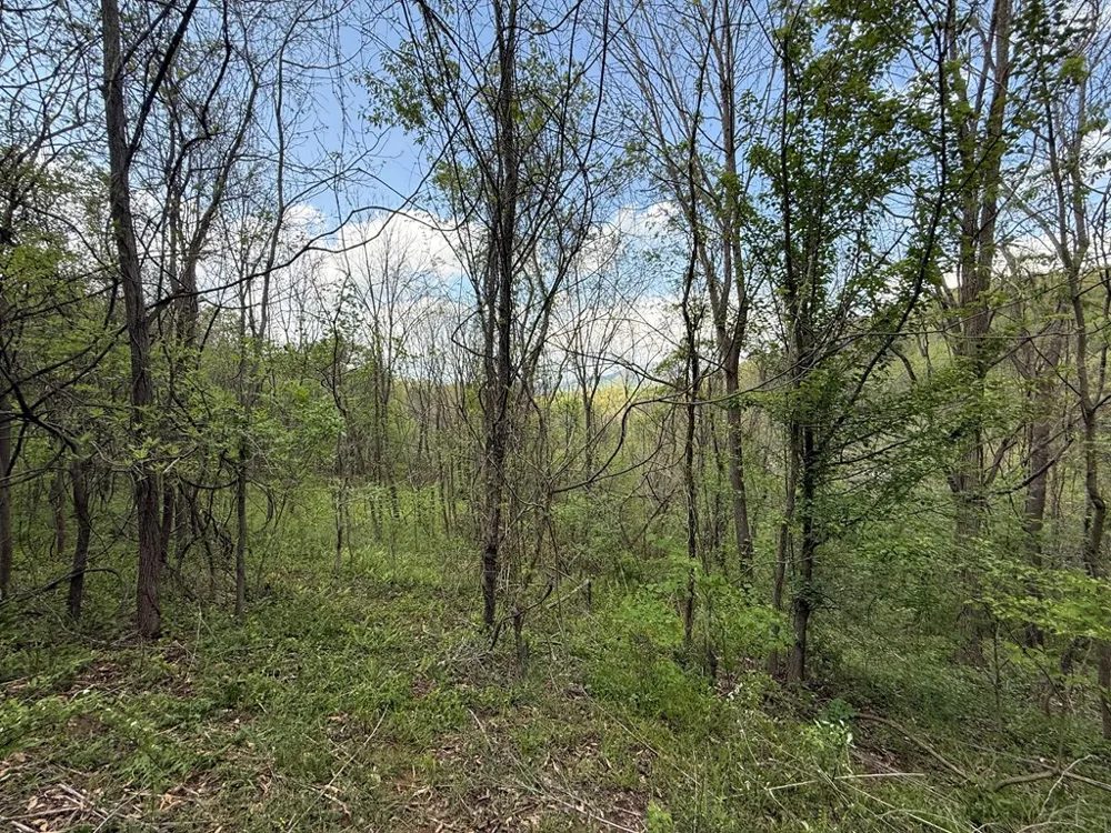Northridge Drive Canton, NC 28716