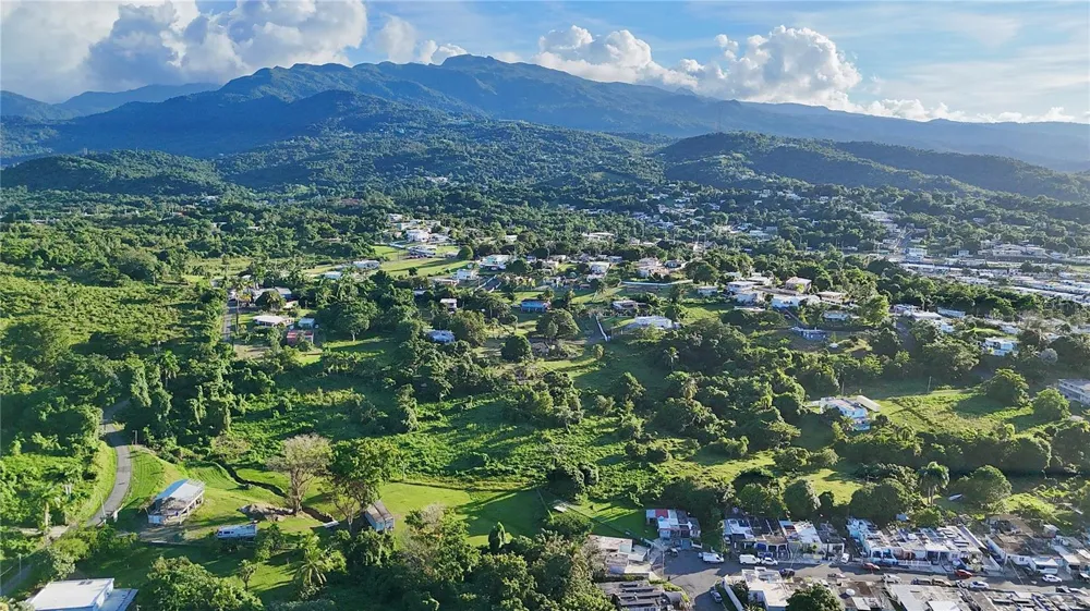 BO ZARAL SEC CAROLA Rio Grande, PR 00721