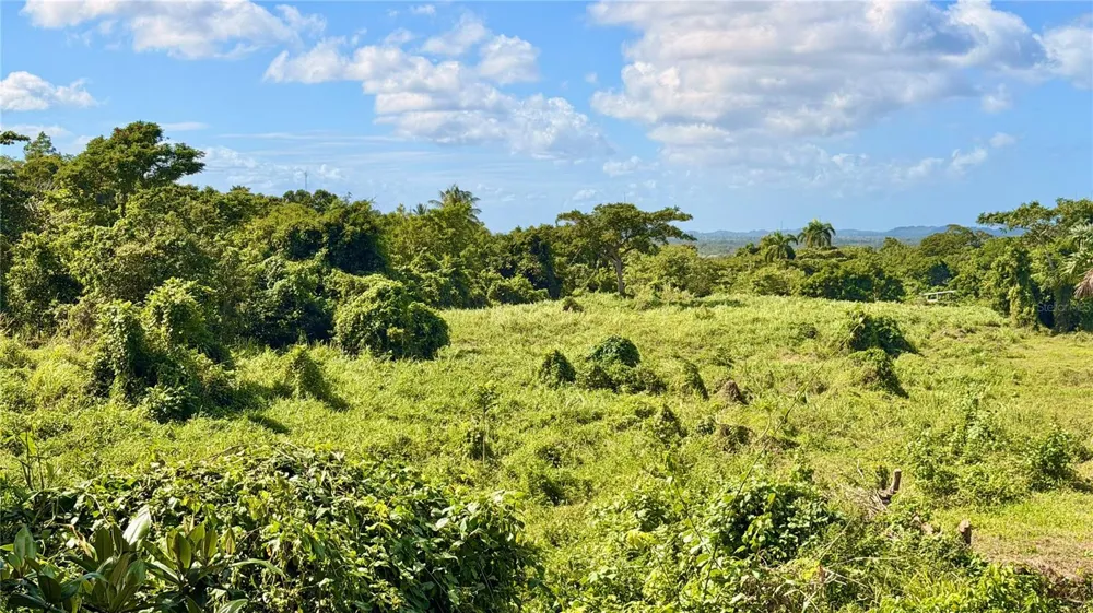 BO ZARAL SEC CAROLA Rio Grande, PR 00721