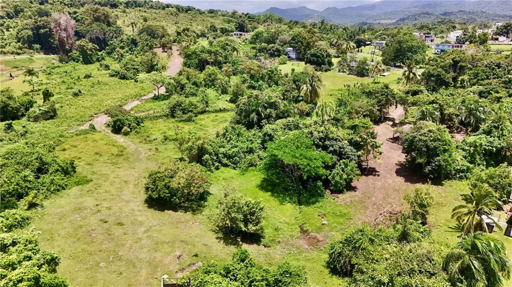 BO ZARAL SEC CAROLA Rio Grande, PR 00721