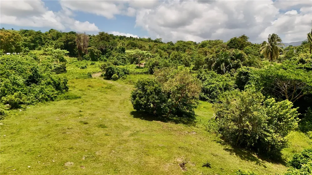 BO ZARAL SEC CAROLA Rio Grande, PR 00721
