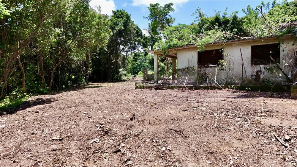 BO ZARAL SEC CAROLA Rio Grande, PR 00721