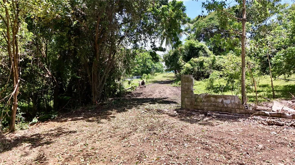 BO ZARAL SEC CAROLA Rio Grande, PR 00721