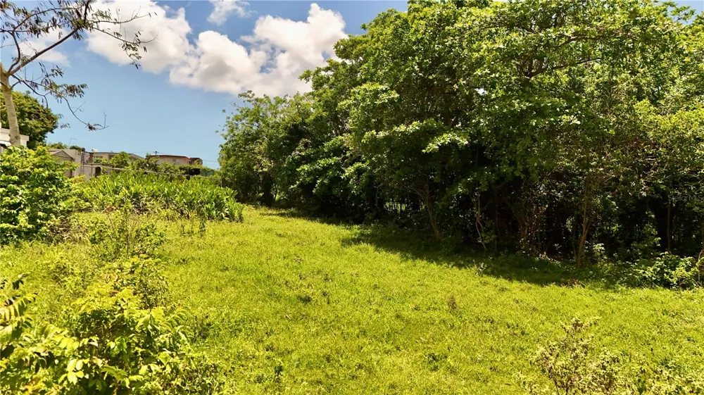 BO ZARAL SEC CAROLA Rio Grande, PR 00721
