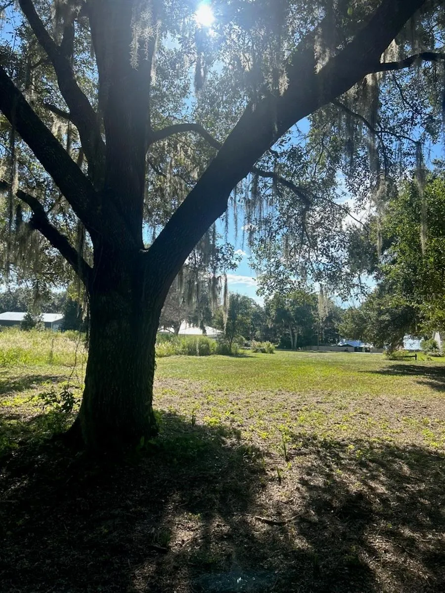 15365 SE 140TH AVENUE ROAD Weirsdale, FL 32195