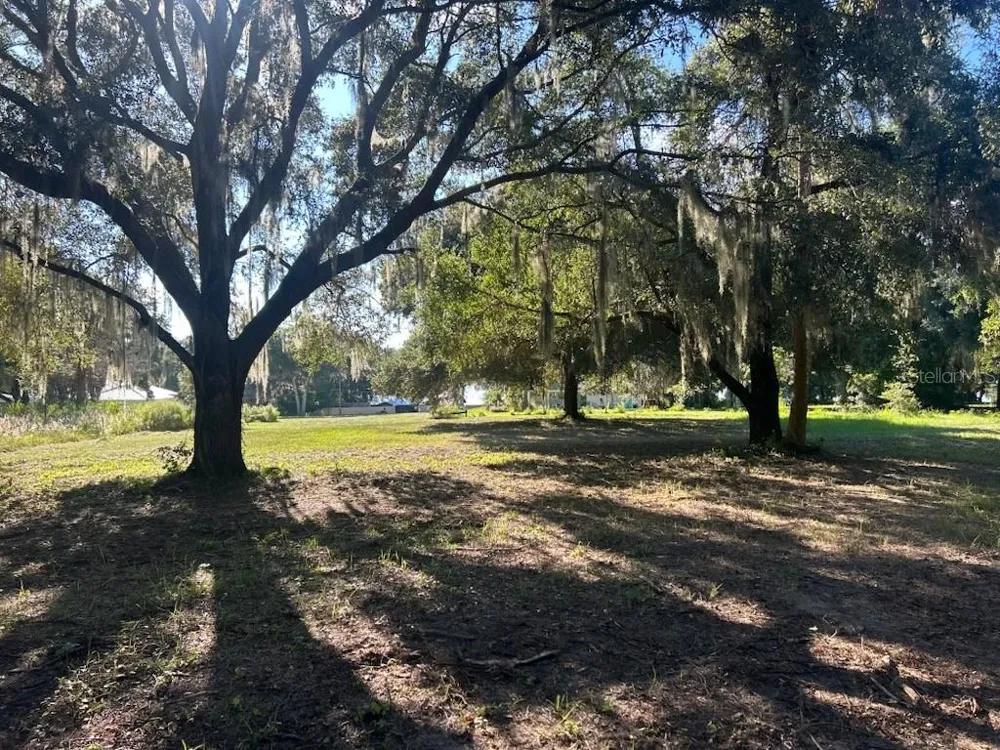 15365 SE 140TH AVENUE ROAD Weirsdale, FL 32195