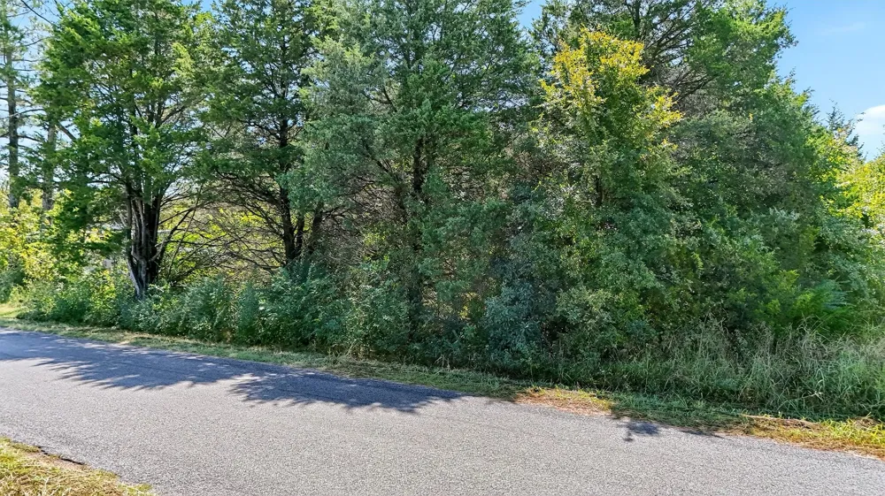 Old Sadler Road Sadler, TX 76264