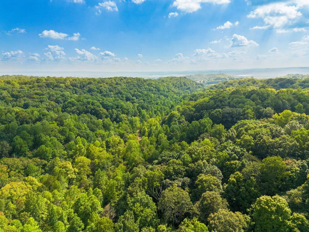 0 Sugar Ridge Rd Spring Hill, TN 37174