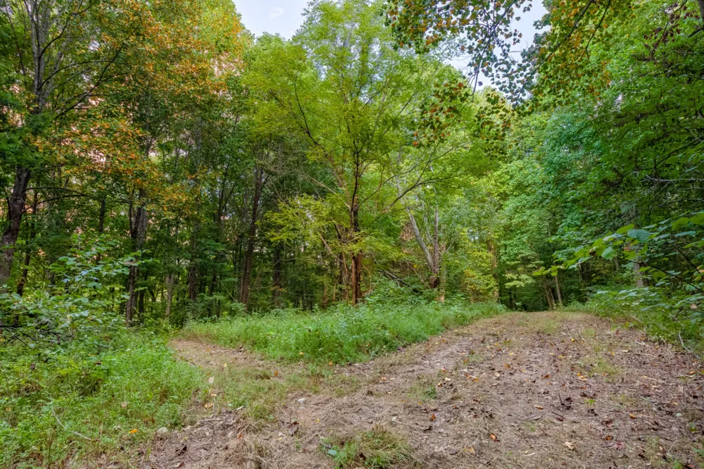 0 Sugar Ridge Rd Spring Hill, TN 37174