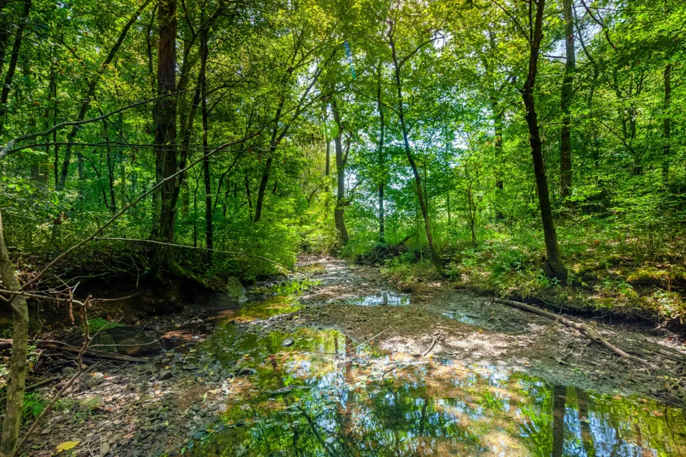 0 Sugar Ridge Rd Spring Hill, TN 37174