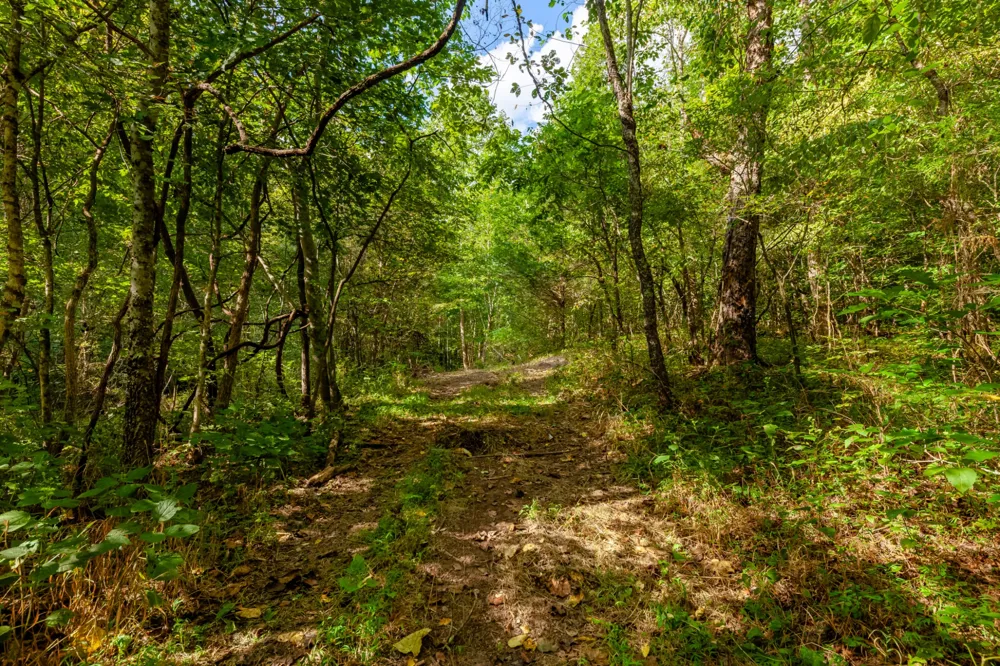 0 Sugar Ridge Rd Spring Hill, TN 37174