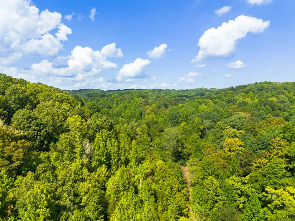 0 Sugar Ridge Rd Spring Hill, TN 37174