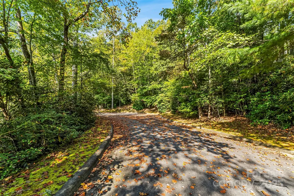 L12R Trailside Court Brevard, NC 28712