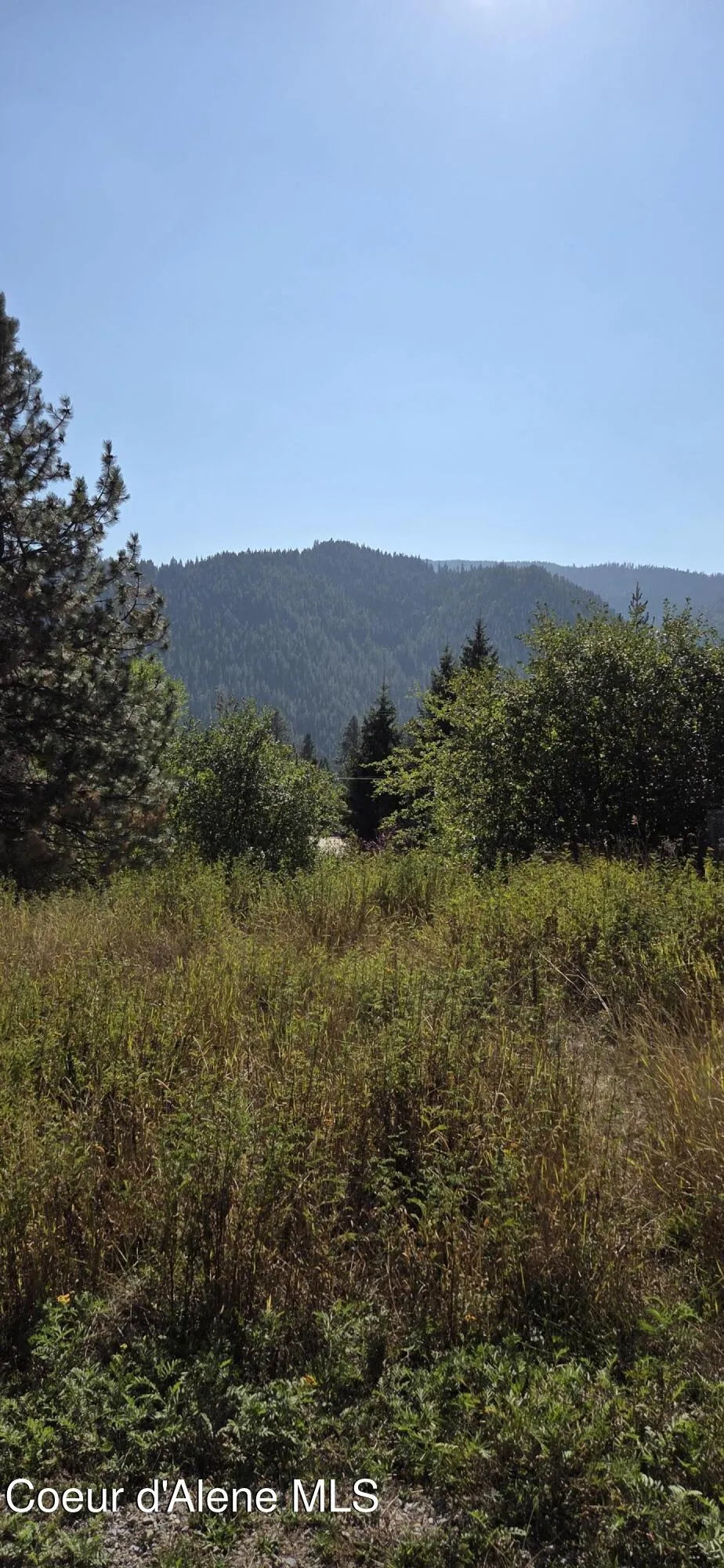 235 Rio Vista Street Osburn, ID 83849