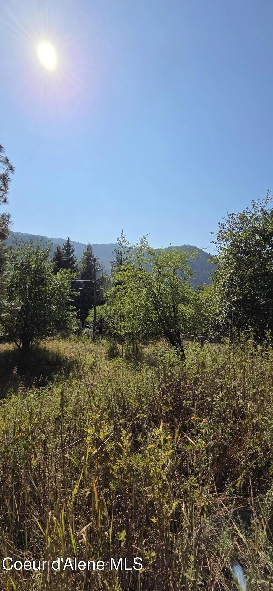 235 Rio Vista Street Osburn, ID 83849