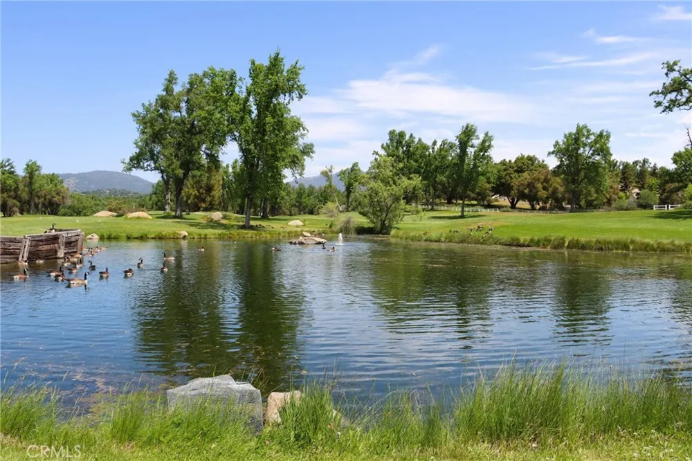 41345 Singing Hills Circle Ahwahnee, CA 93601