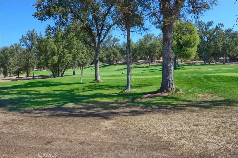 41345 Singing Hills Circle Ahwahnee, CA 93601