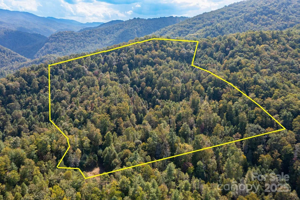 999 NC 209 Highway #9 Hot Springs, NC 28743