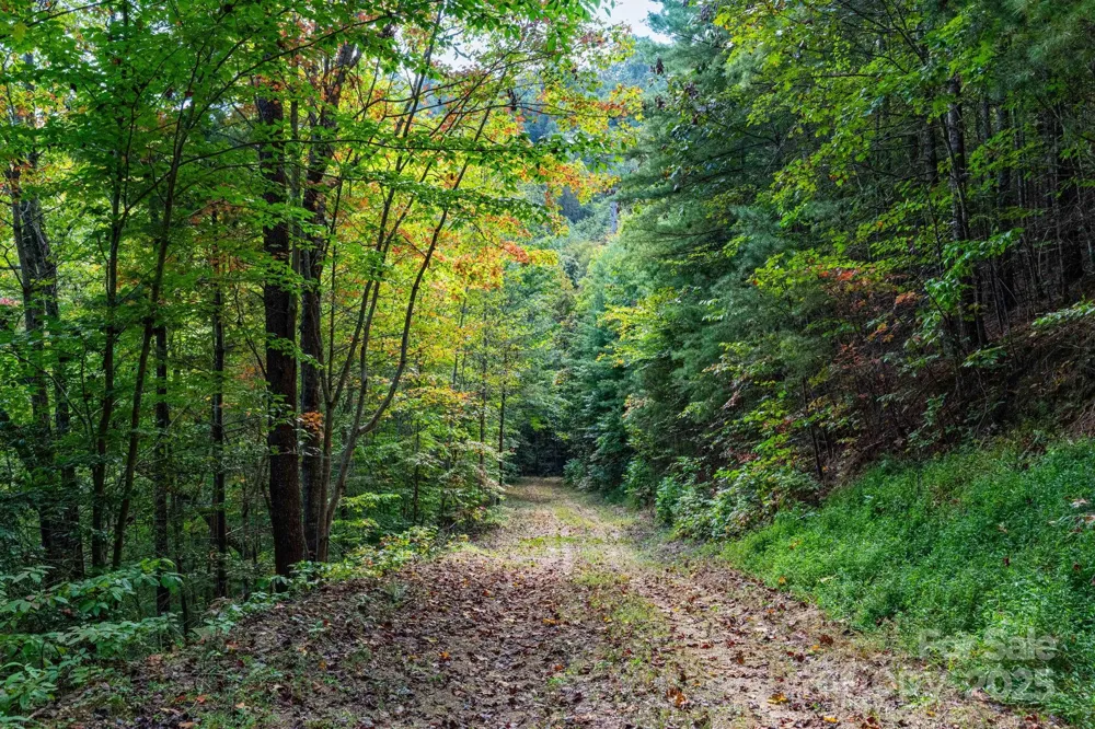 999 NC 209 Highway #9 Hot Springs, NC 28743