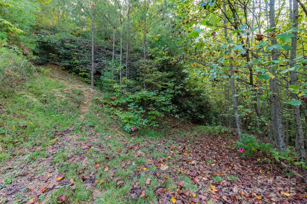 999 NC 209 Highway #9 Hot Springs, NC 28743