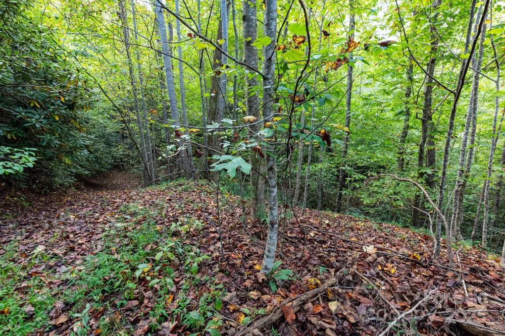 999 NC 209 Highway #9 Hot Springs, NC 28743