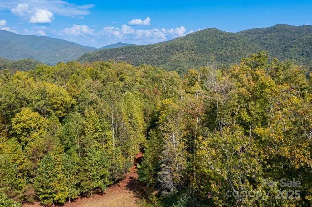 999 NC 209 Highway #9 Hot Springs, NC 28743