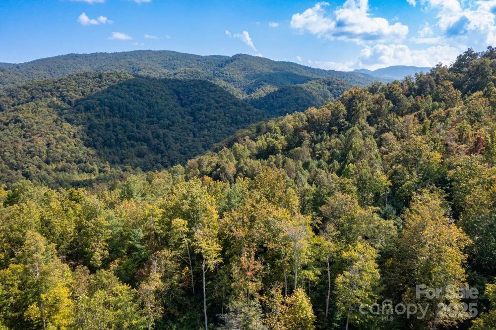 999 NC 209 Highway #9 Hot Springs, NC 28743