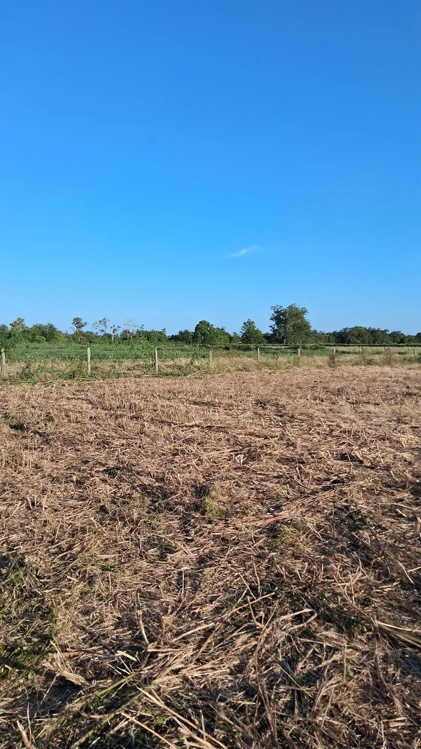 442 Fm 640 Rd Glen Flora, TX 77448