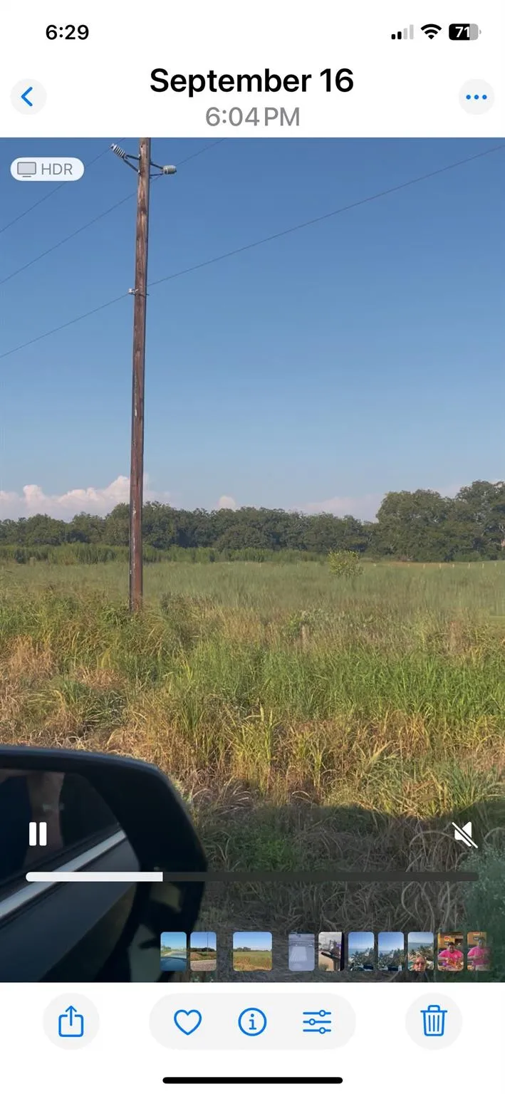 442 Fm 640 Rd Glen Flora, TX 77448