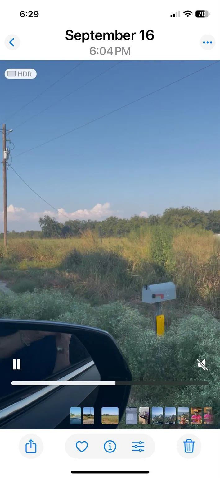 442 Fm 640 Rd Glen Flora, TX 77448