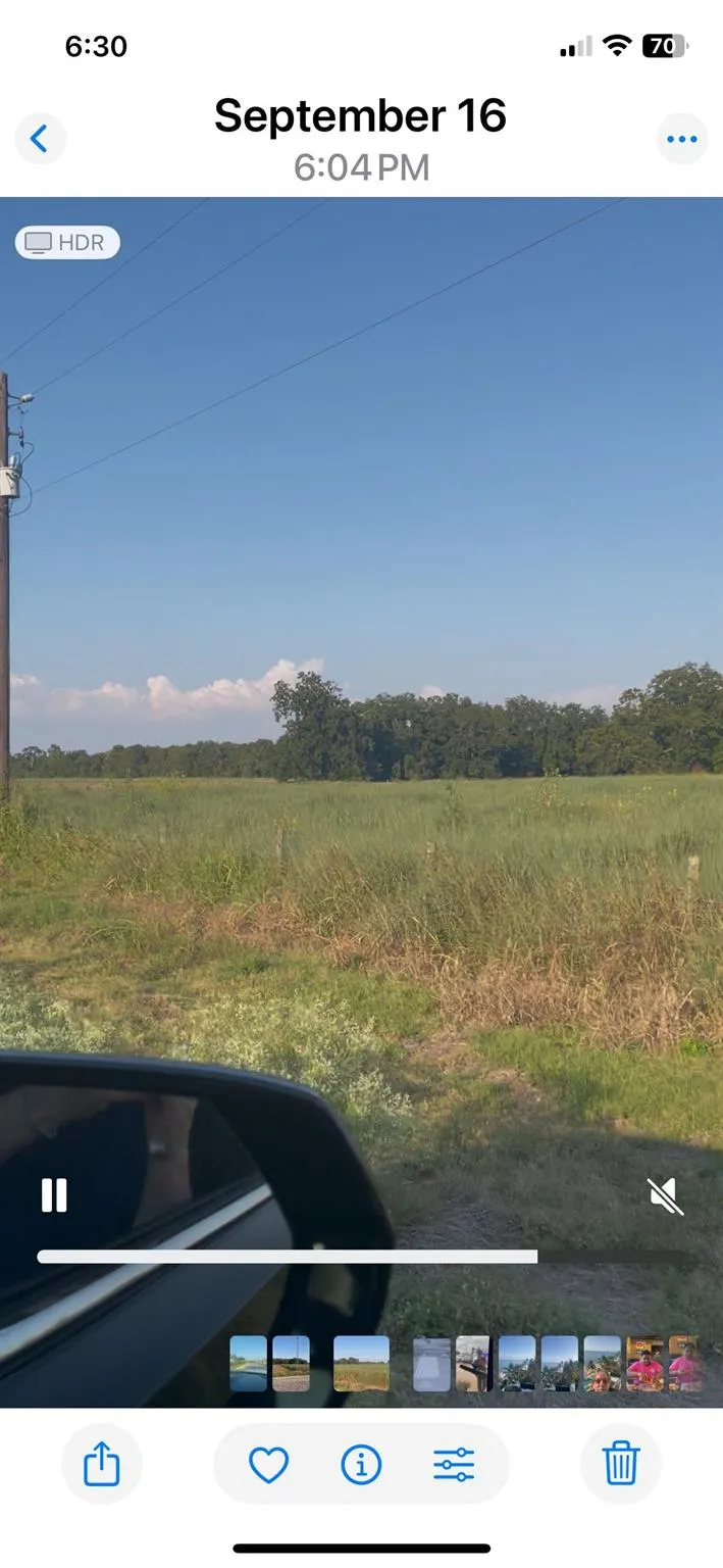 442 Fm 640 Rd Glen Flora, TX 77448