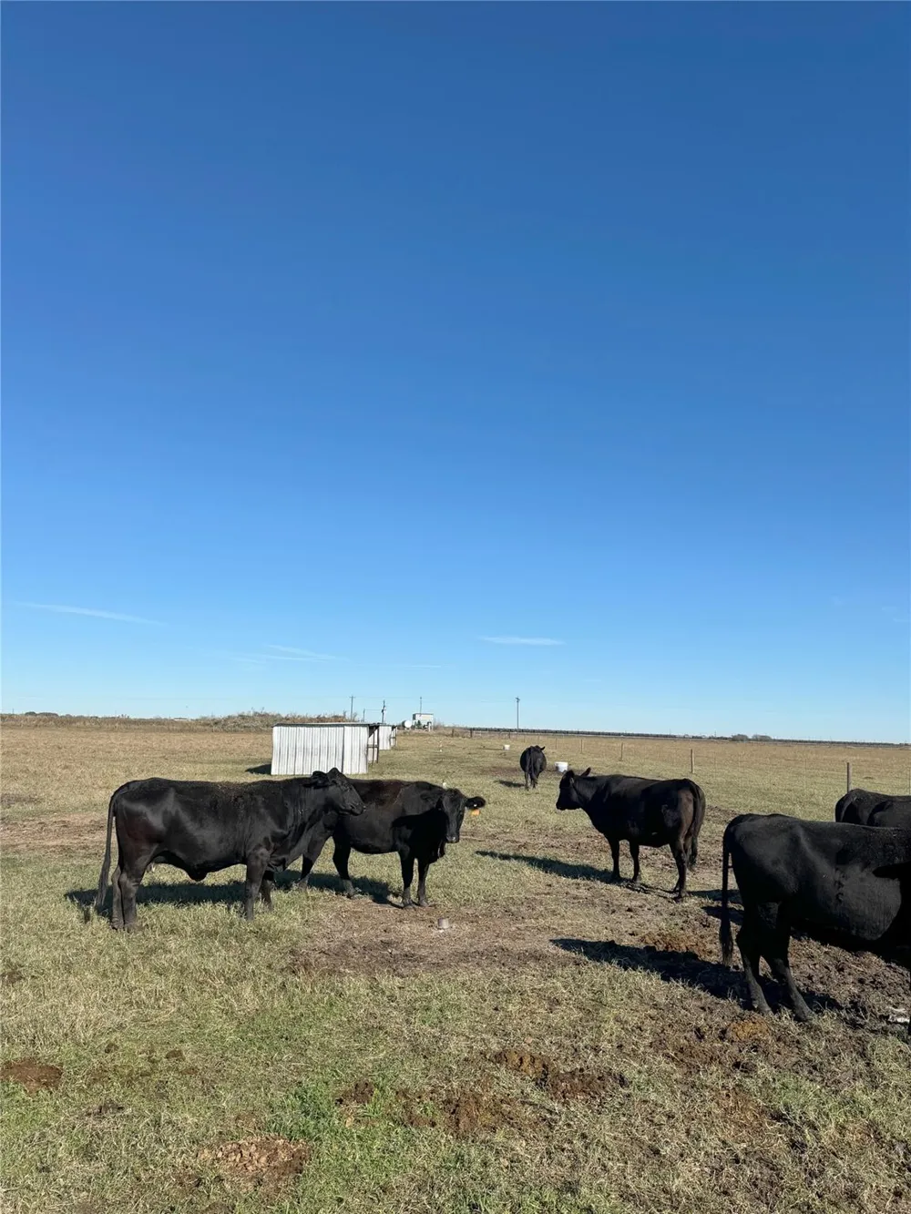 County Road 312 Louise, TX 77455