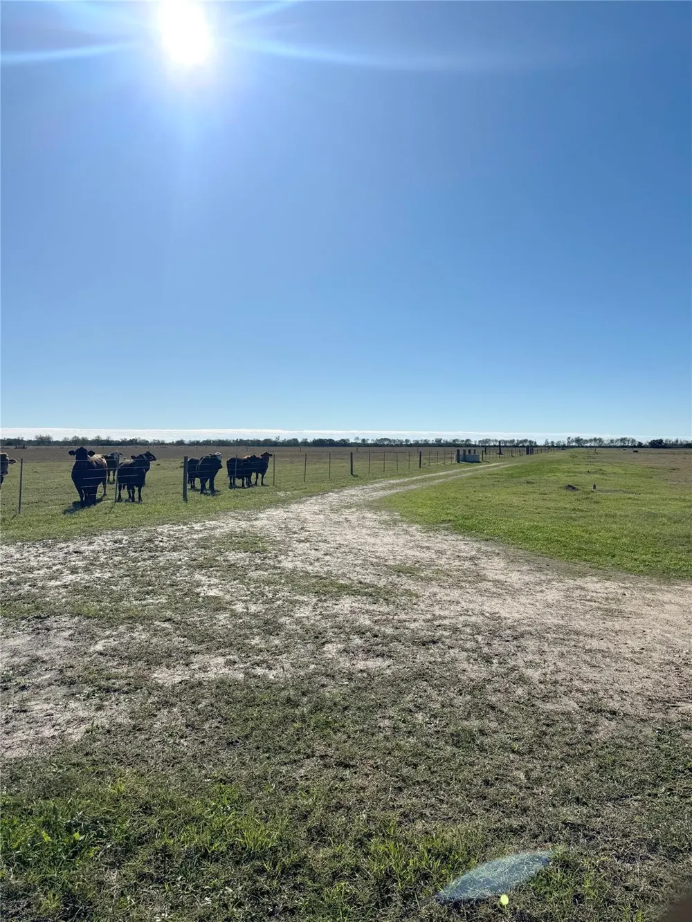 County Road 312 Louise, TX 77455