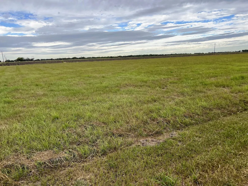 100 Hwy 97 J243 Tract 4 Jourdanton, TX 78026