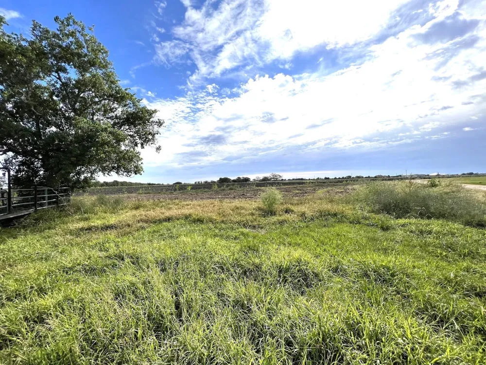 100 Hwy 97 J243 Tract 4 Jourdanton, TX 78026