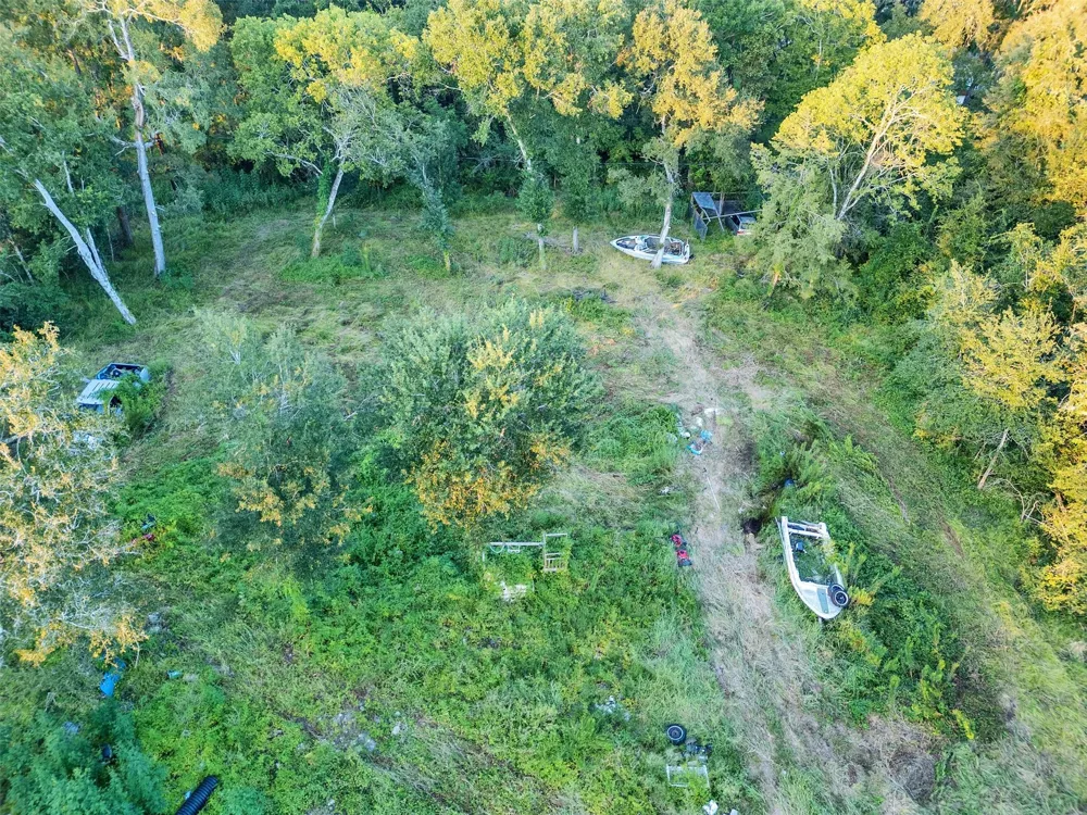 Lost Forest Drive Guy, TX 77444