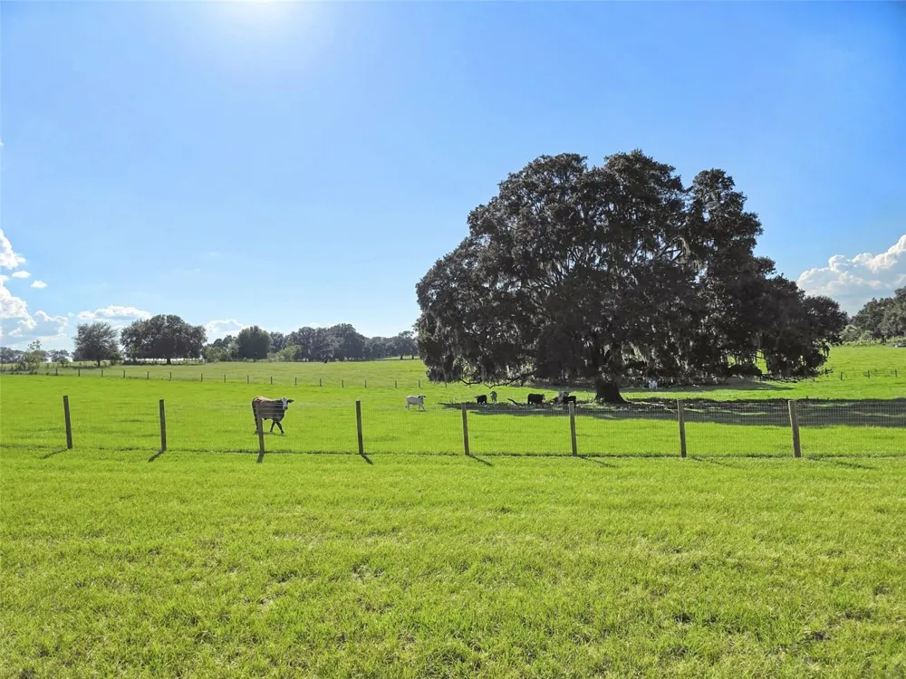 23220 NW 27TH ST Morriston, FL 32668