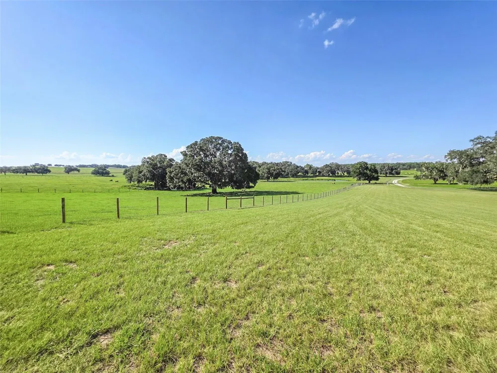 23220 NW 27TH ST Morriston, FL 32668