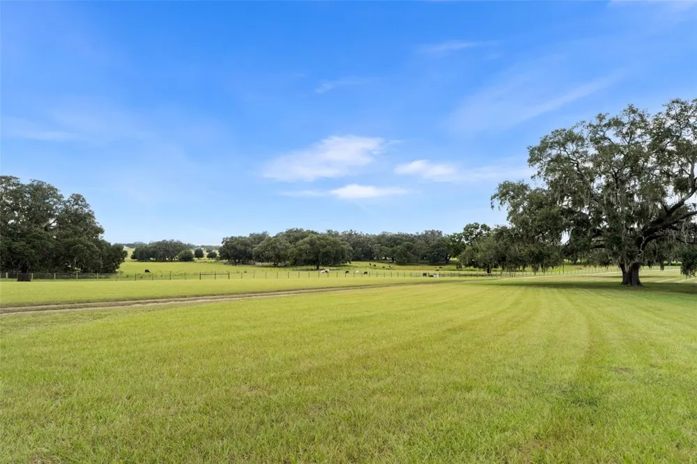 23220 NW 27TH ST Morriston, FL 32668