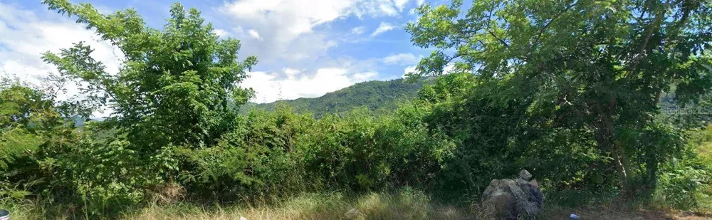 14 PR Coamo, PR 00769