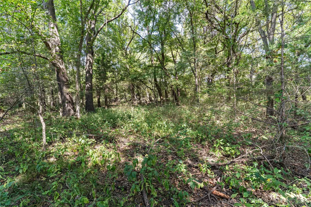 E 1420 ROAD Sasakwa, OK 74867