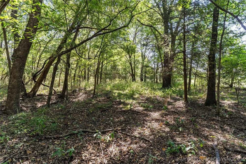 E 1420 ROAD Sasakwa, OK 74867