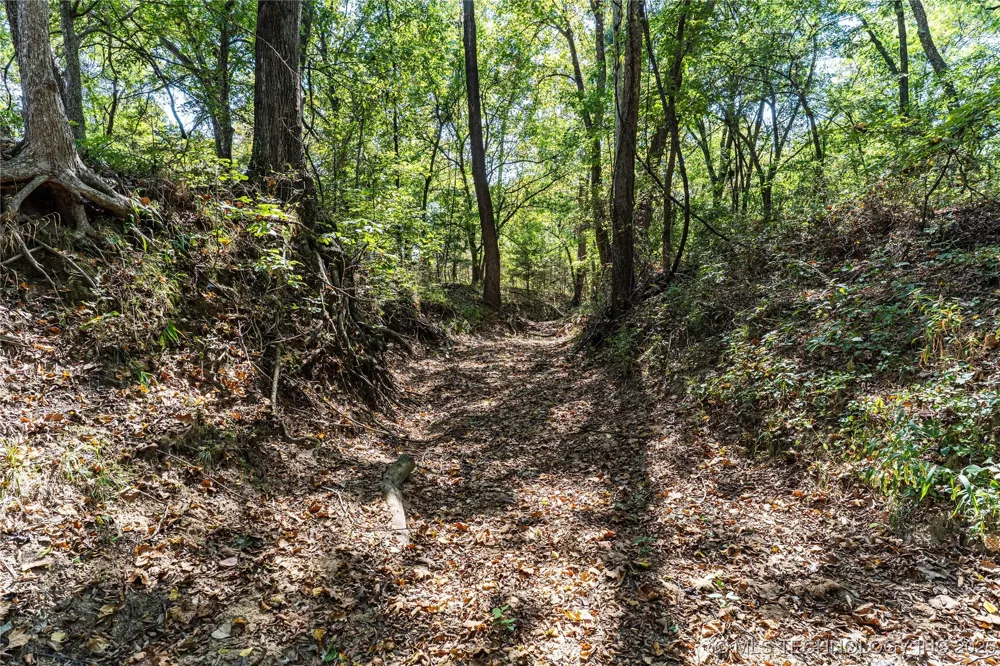 E 1420 ROAD Sasakwa, OK 74867