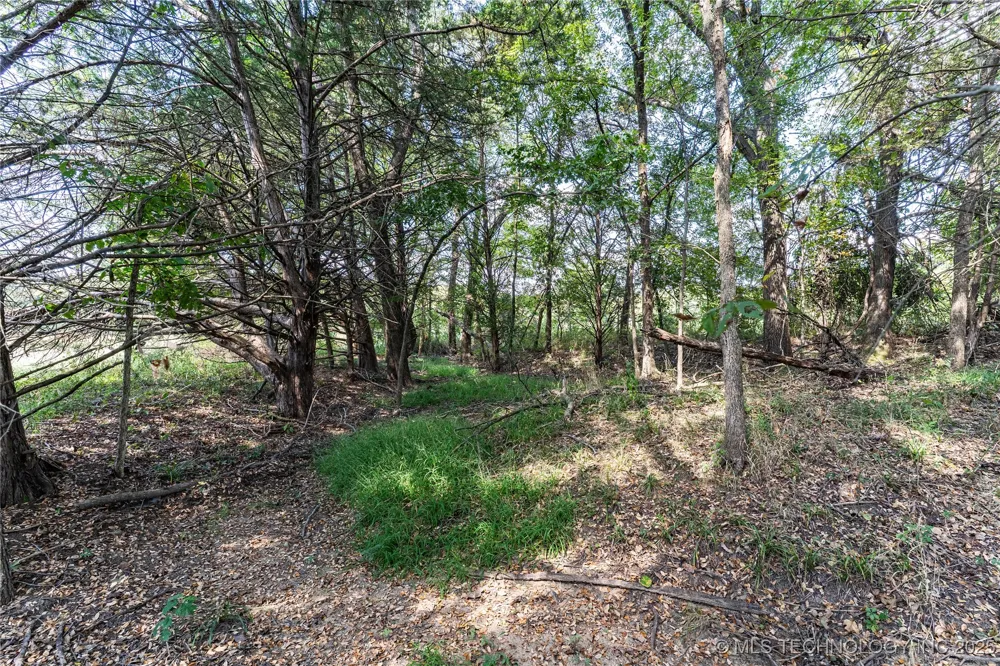 E 1420 ROAD Sasakwa, OK 74867