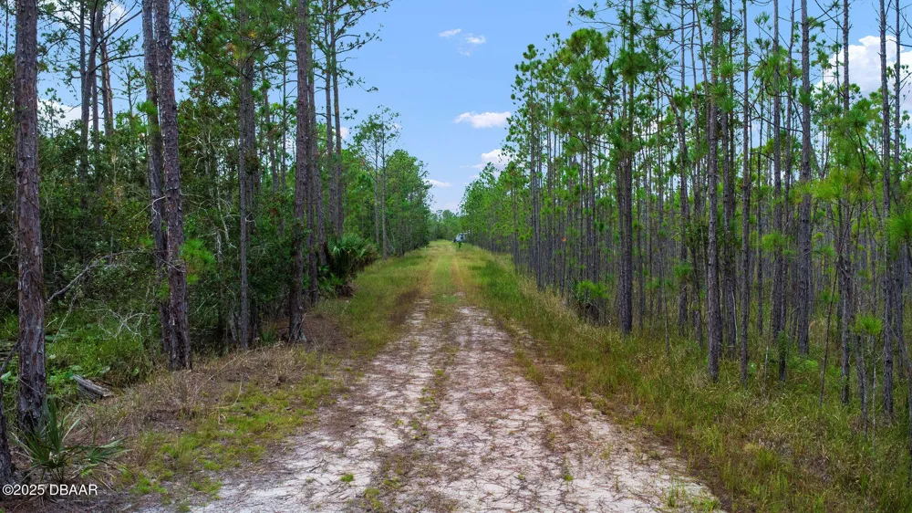 1 Boice Lane Ormond Beach, FL 32174