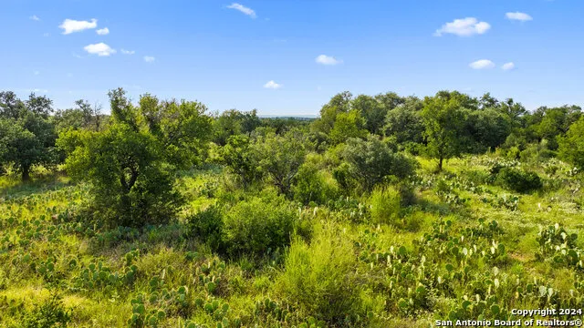 TBD W RR 962 Round Mountain, TX 78663