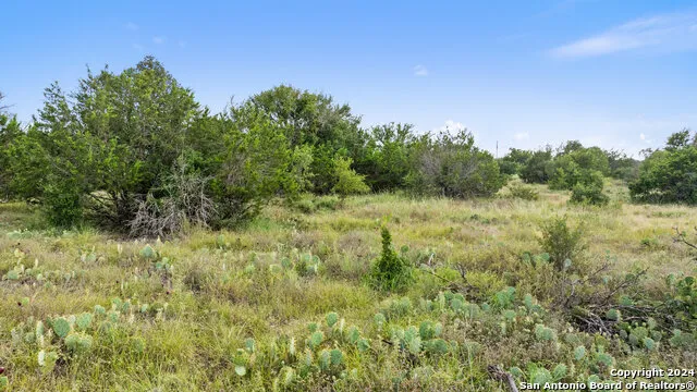 TBD W RR 962 Round Mountain, TX 78663