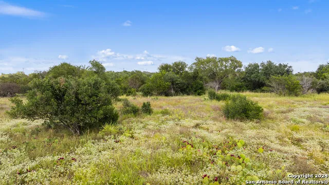 TBD W RR 962 Round Mountain, TX 78663