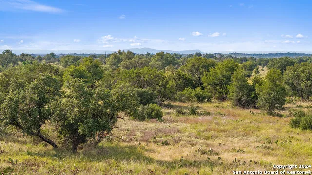 TBD W RR 962 Round Mountain, TX 78663